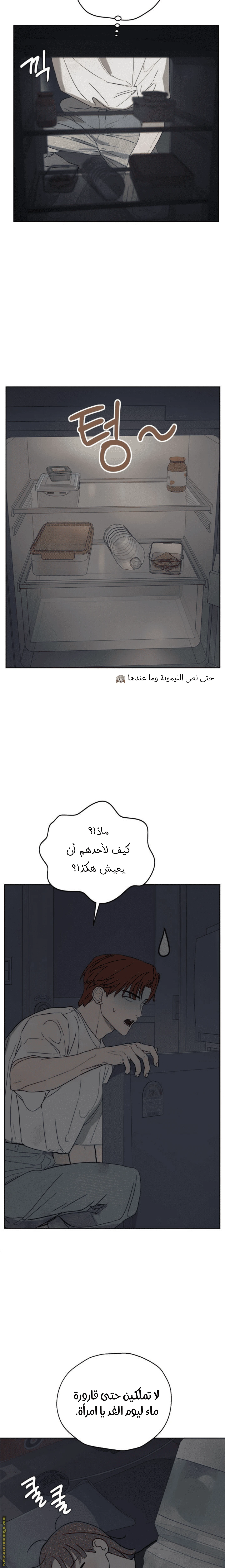 الصفحة 11
