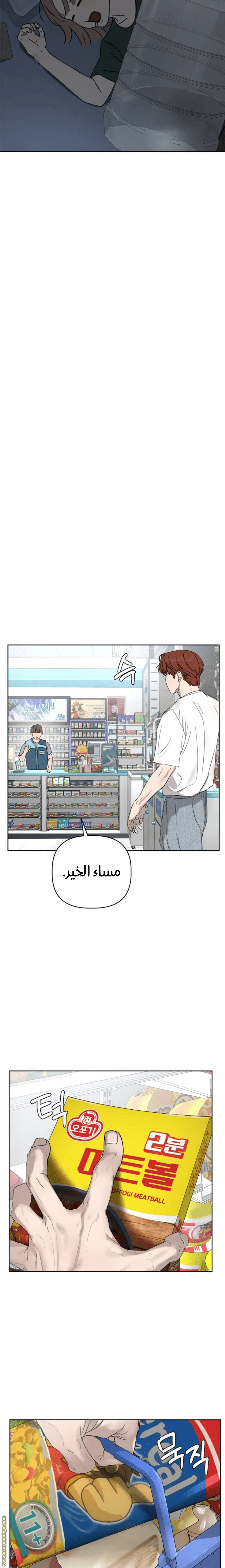 الصفحة 12