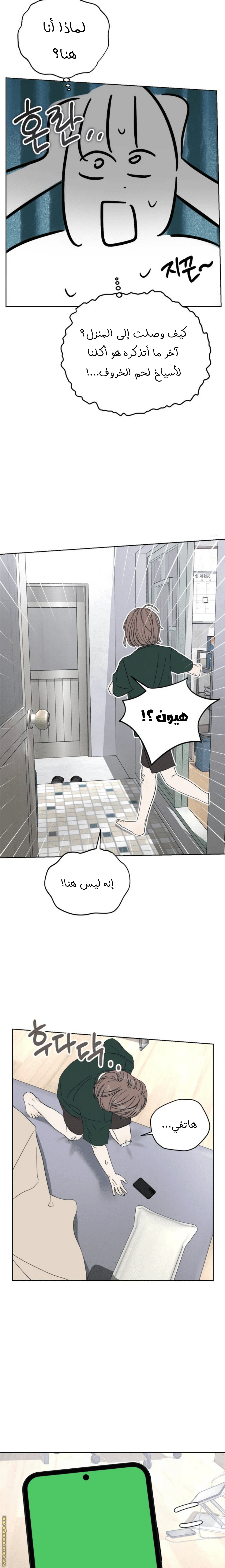 الصفحة 20