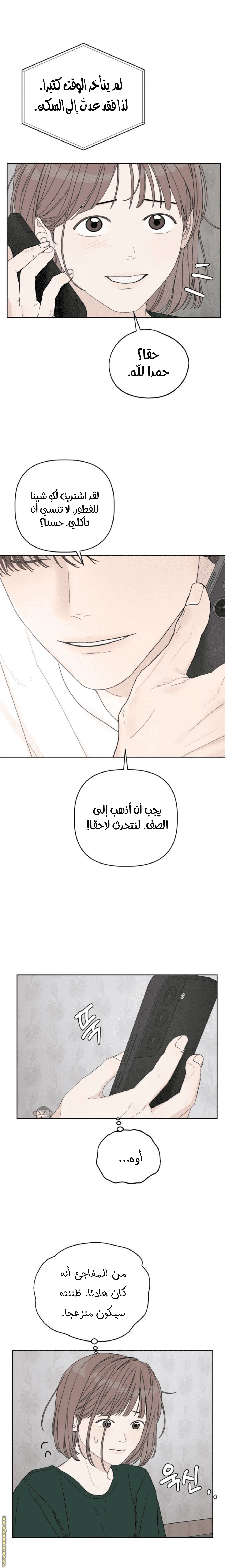 الصفحة 24
