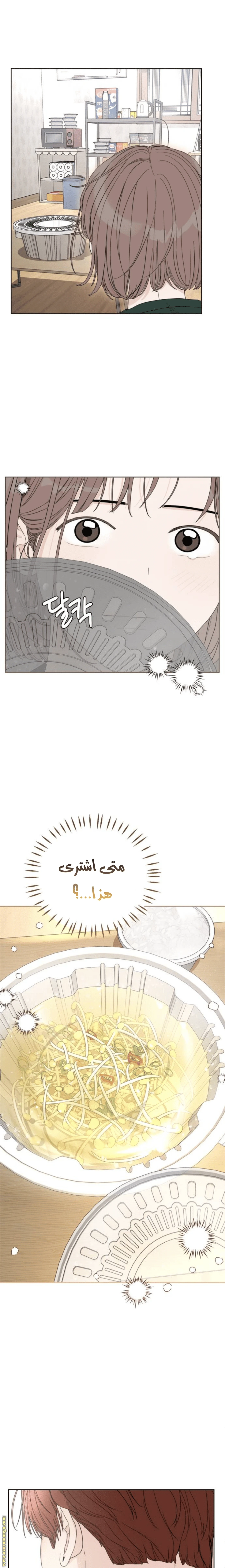 الصفحة 25