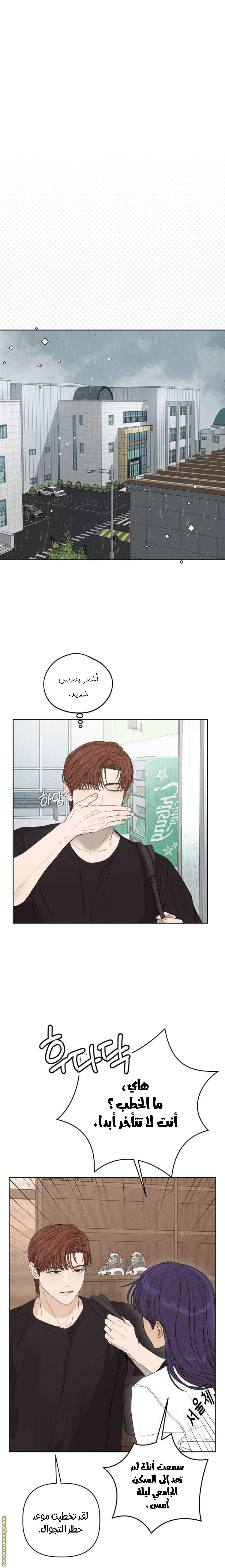 الصفحة 27