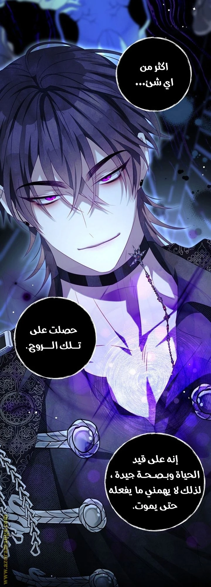 الصفحة 13
