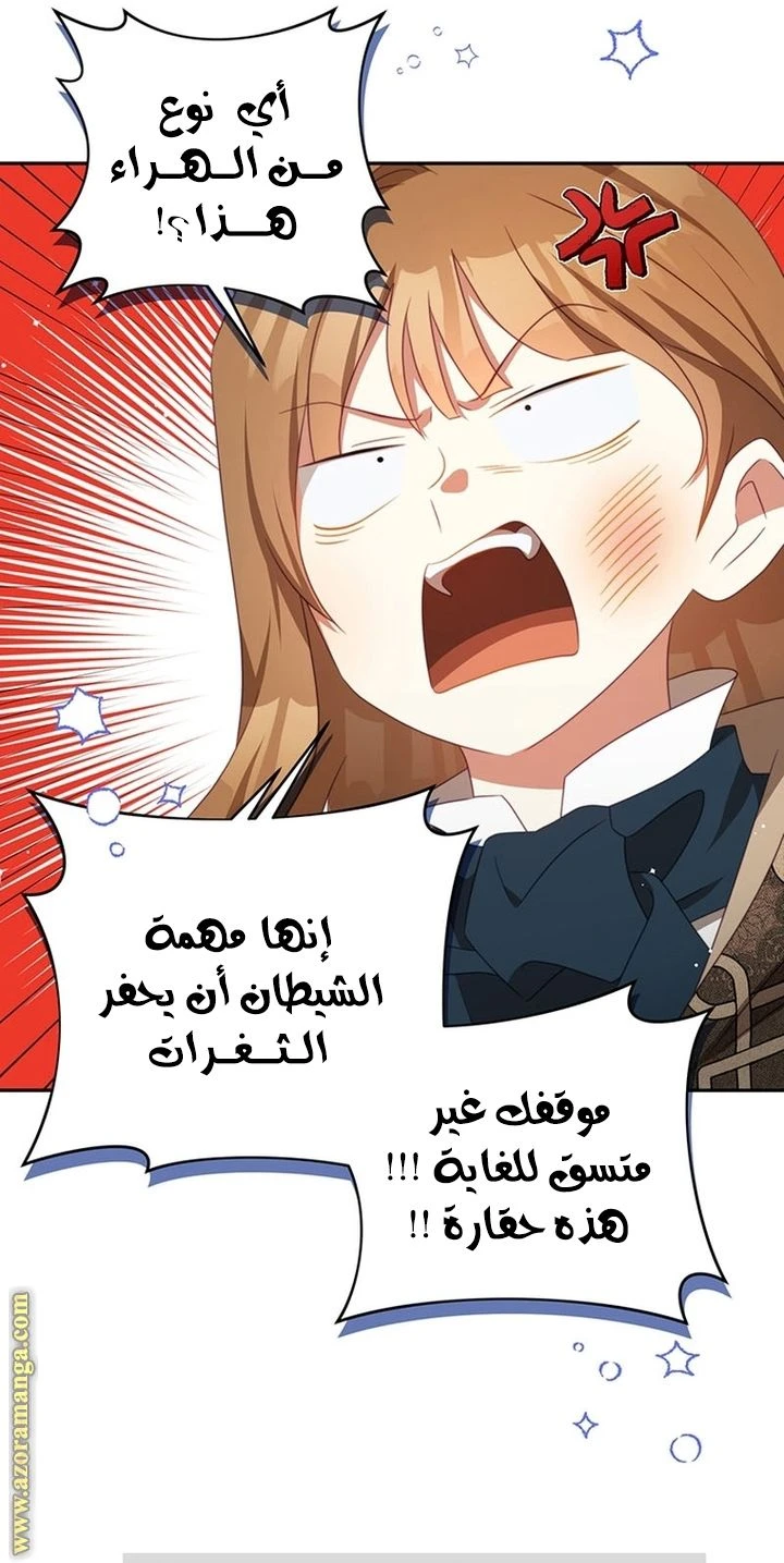 الصفحة 28