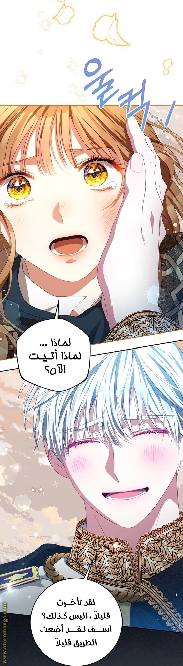 الصفحة 46