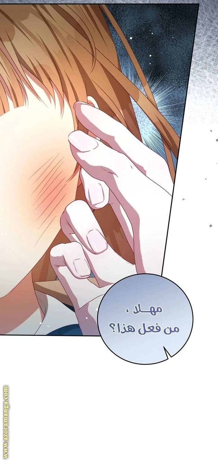 الصفحة 48