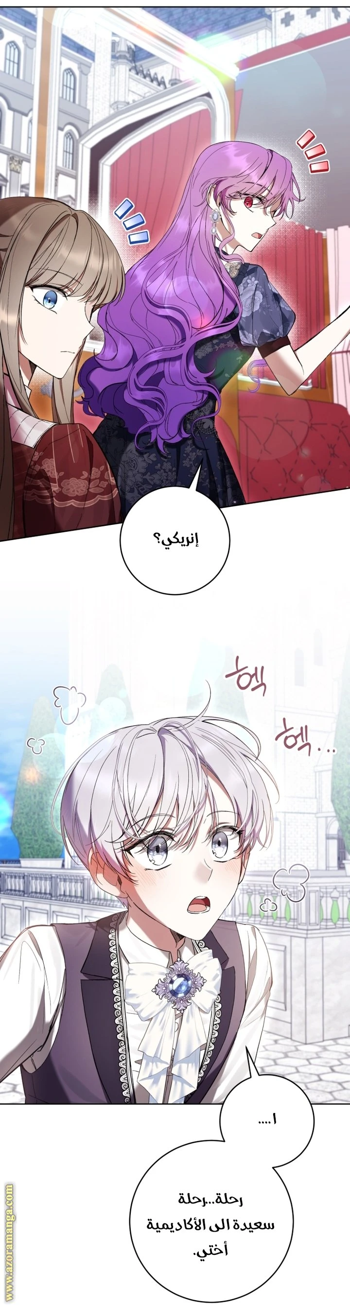 الصفحة 17