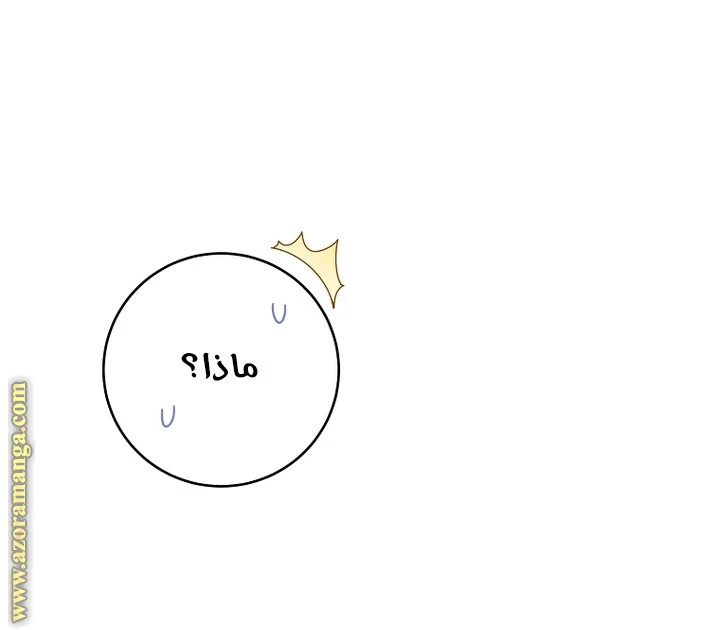 الصفحة 37