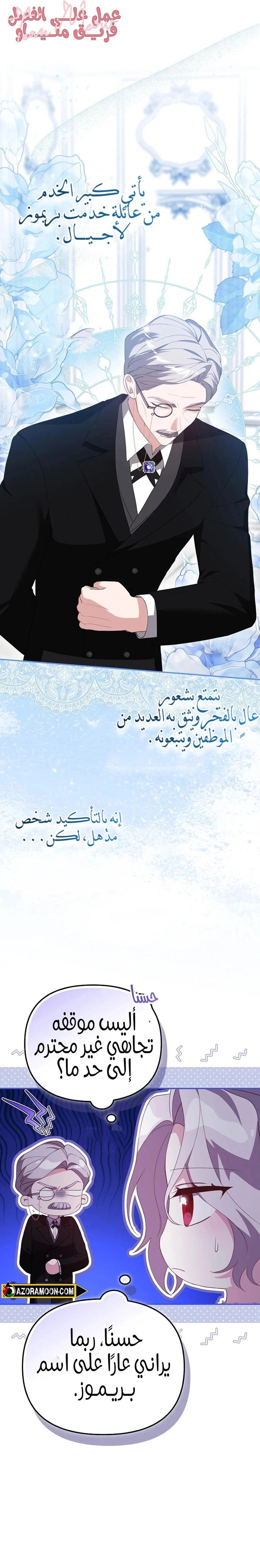 الصفحة 17