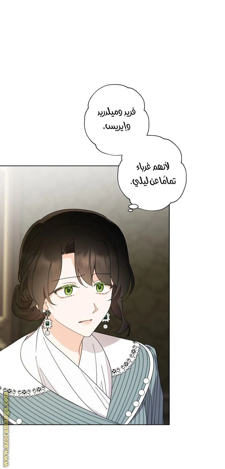 الصفحة 17