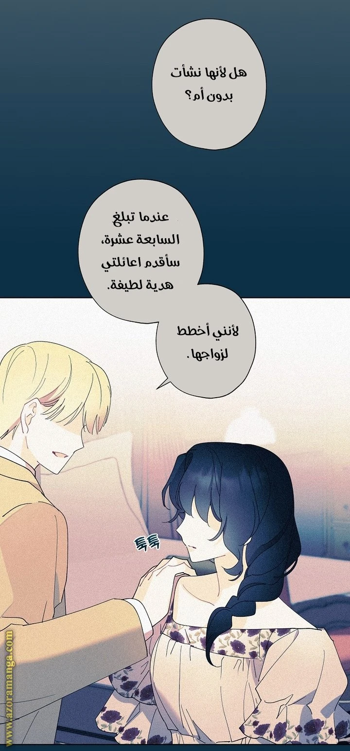 الصفحة 25