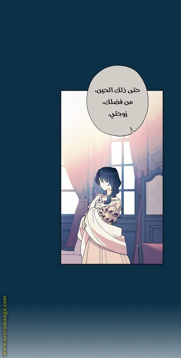 الصفحة 26
