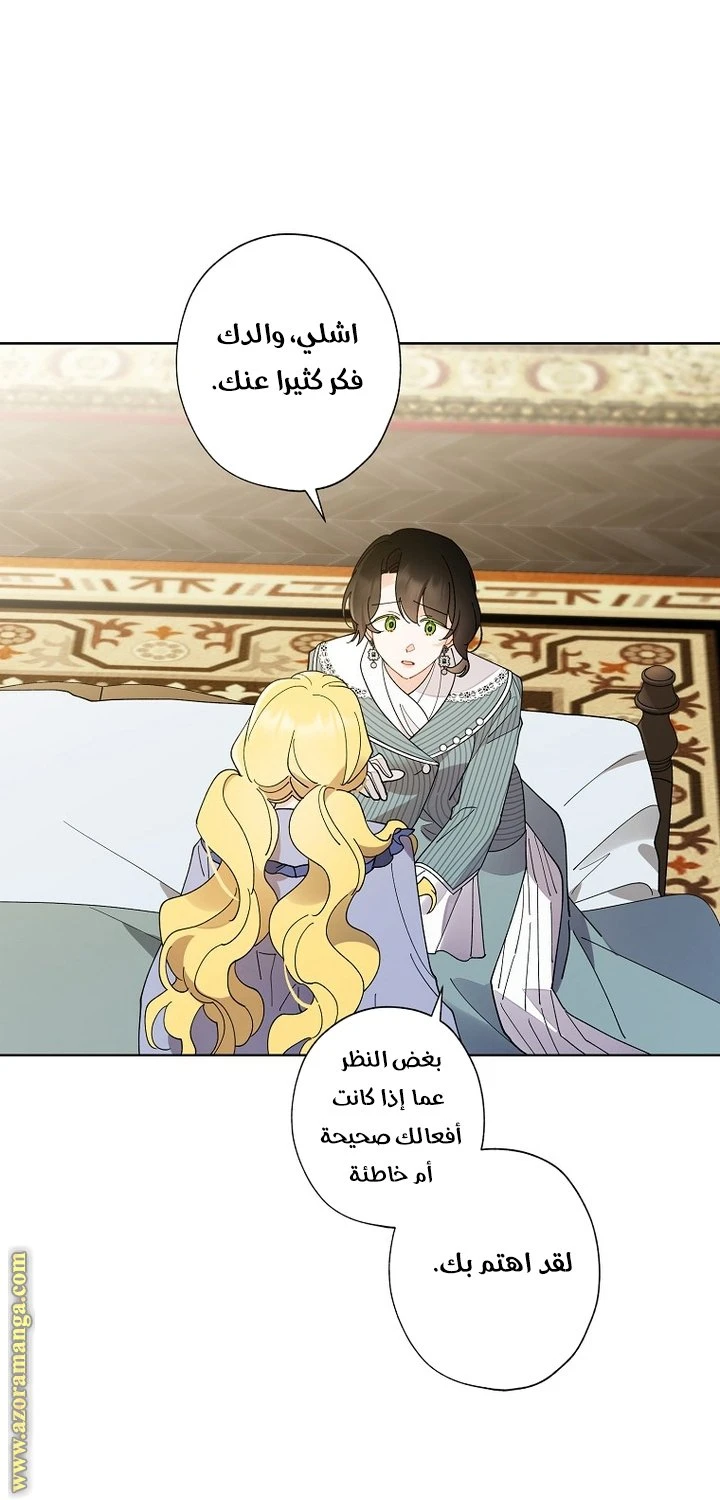 الصفحة 29