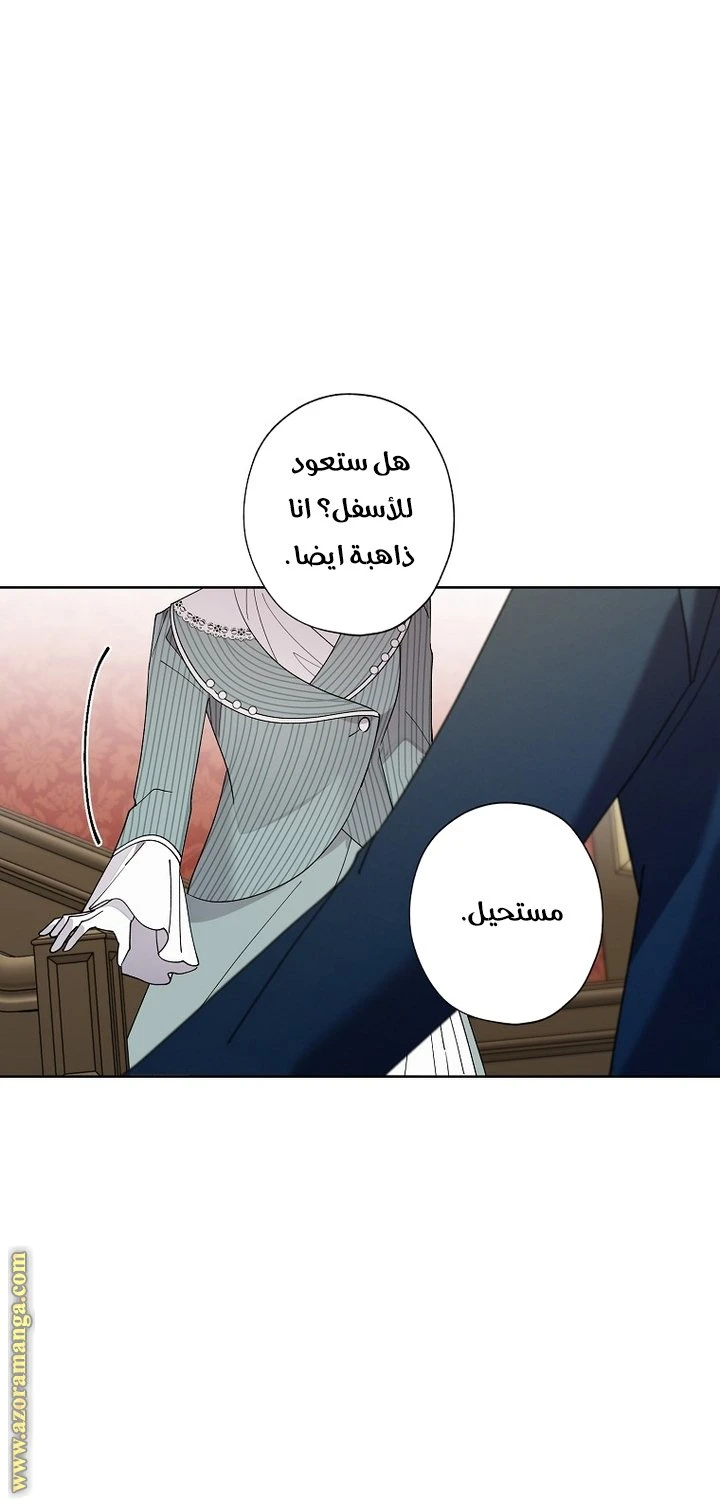 الصفحة 41