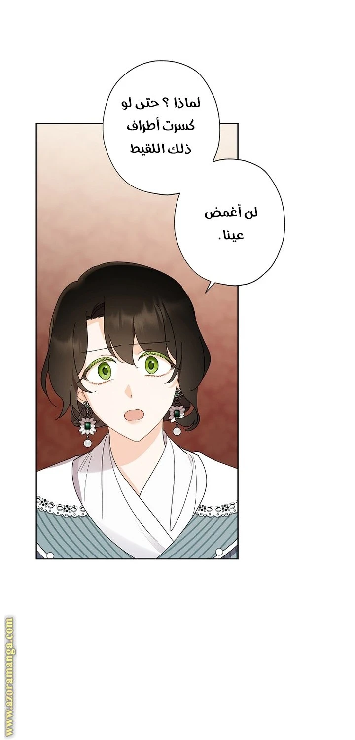 الصفحة 42