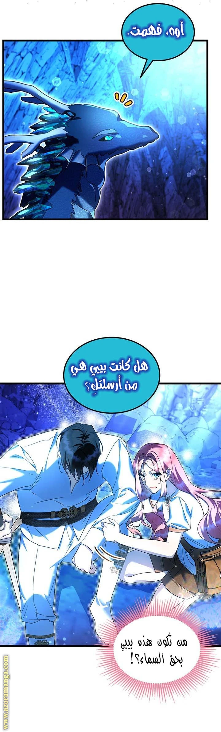 الصفحة 14