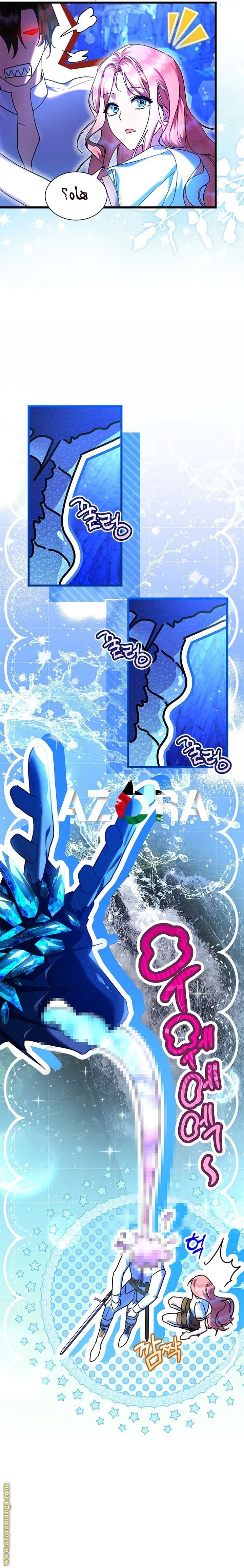 الصفحة 17