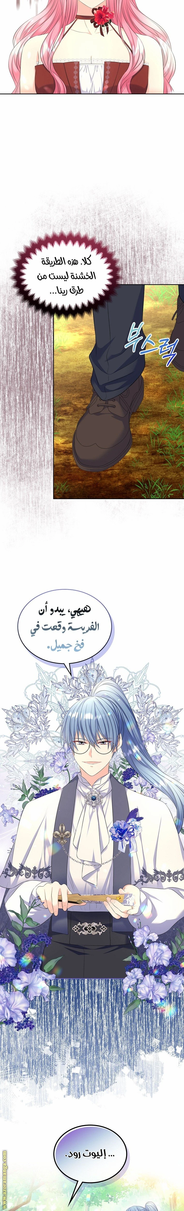 الصفحة 14