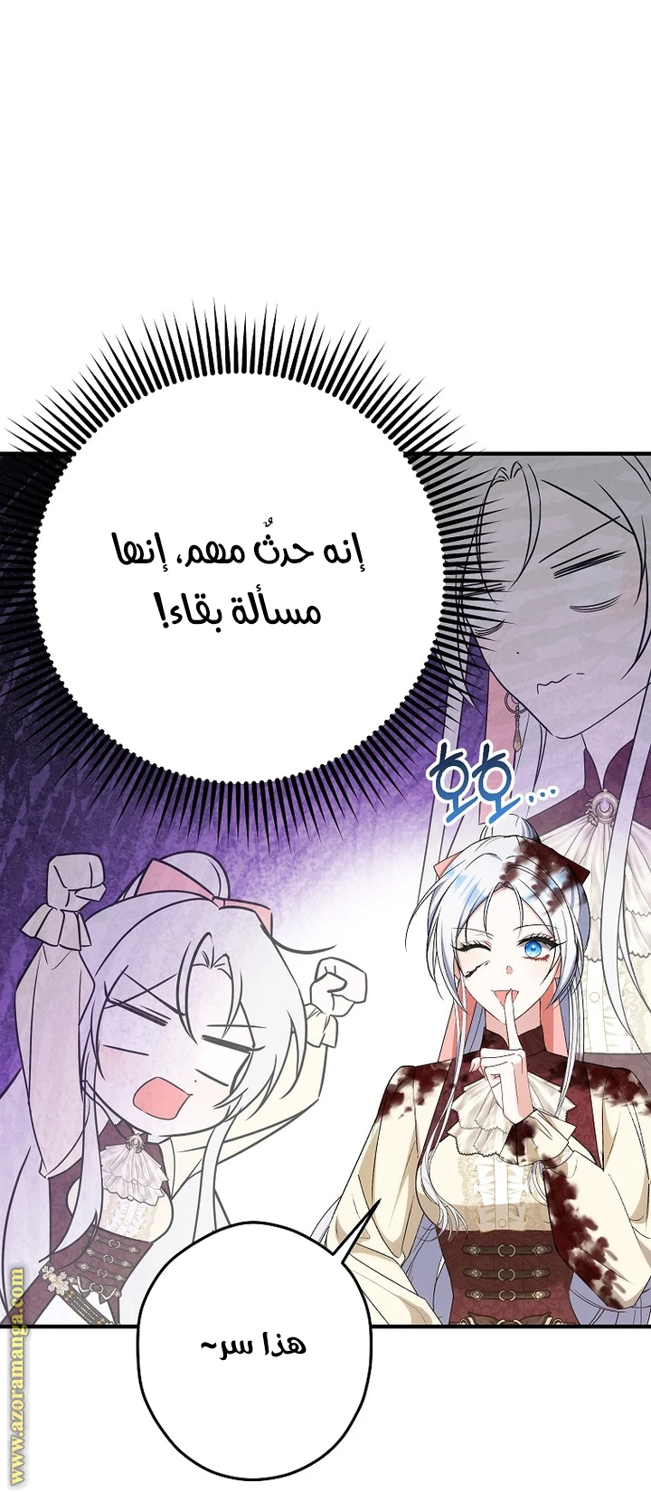 الصفحة 25