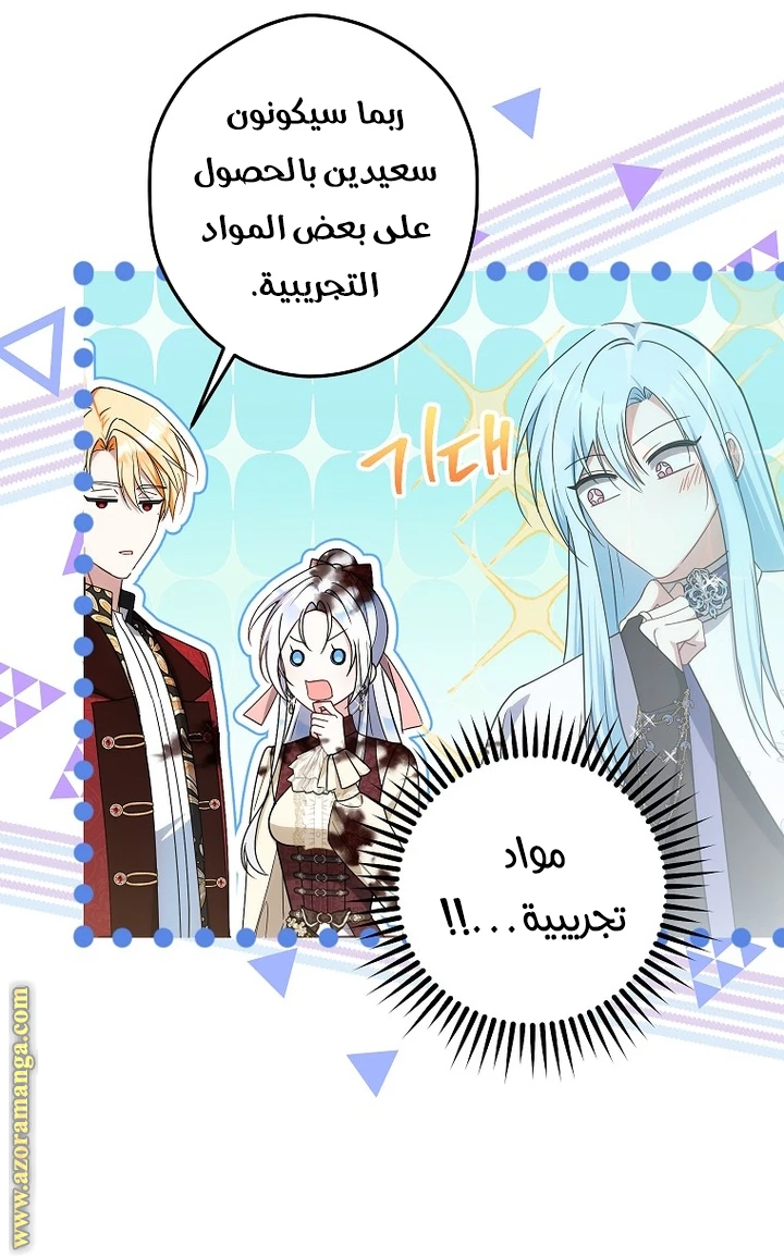 الصفحة 29