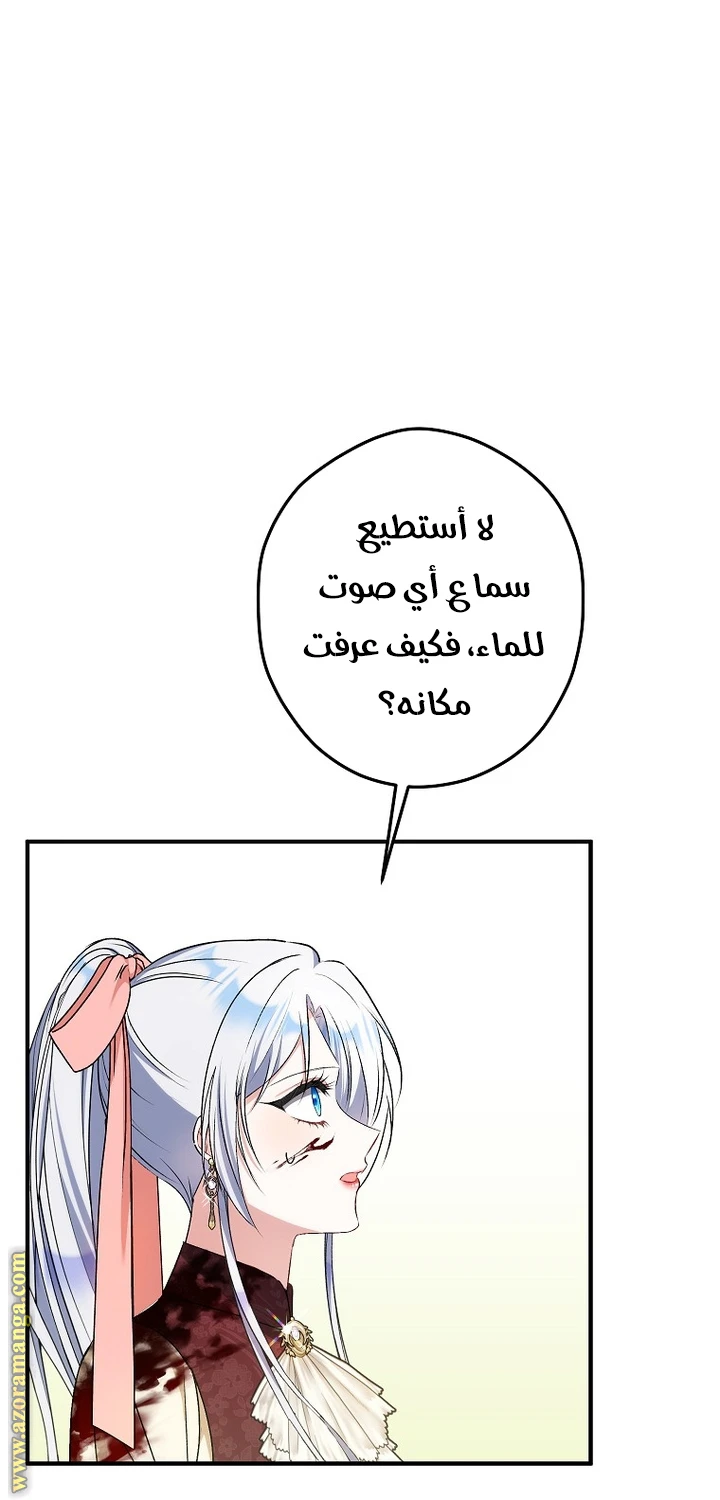 الصفحة 43