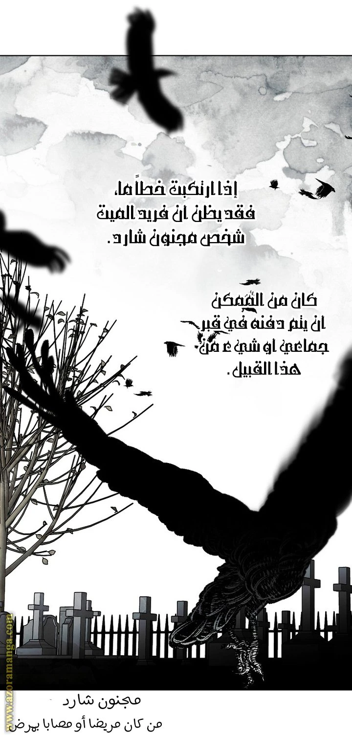 الصفحة 19