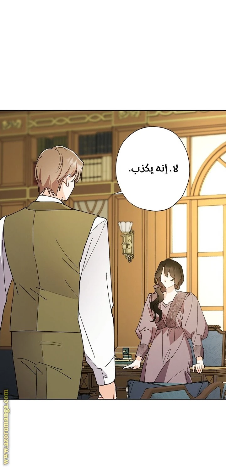 الصفحة 27
