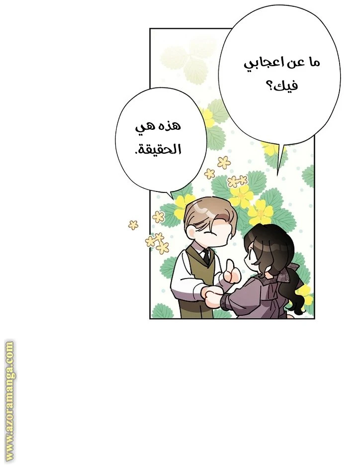 الصفحة 41