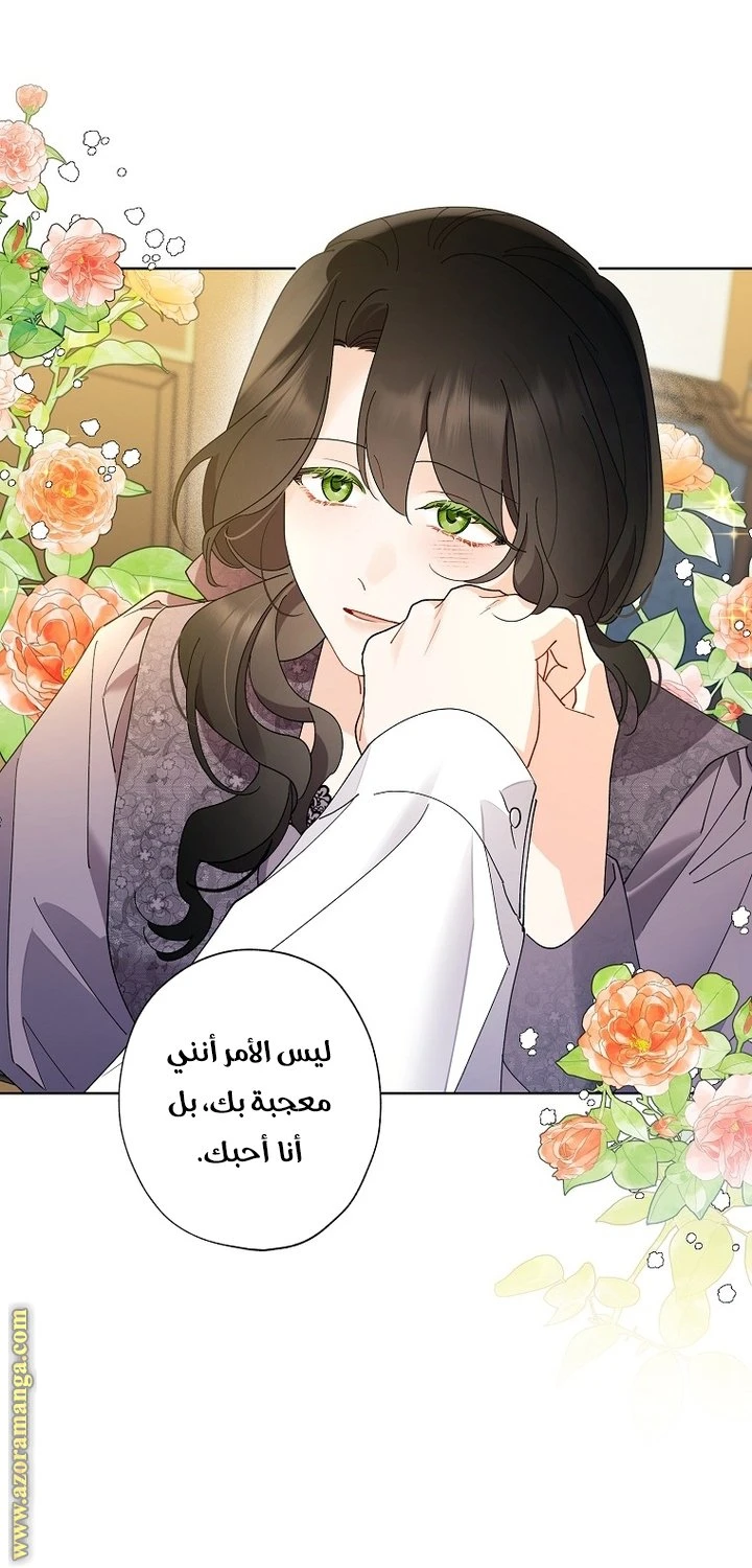 الصفحة 43