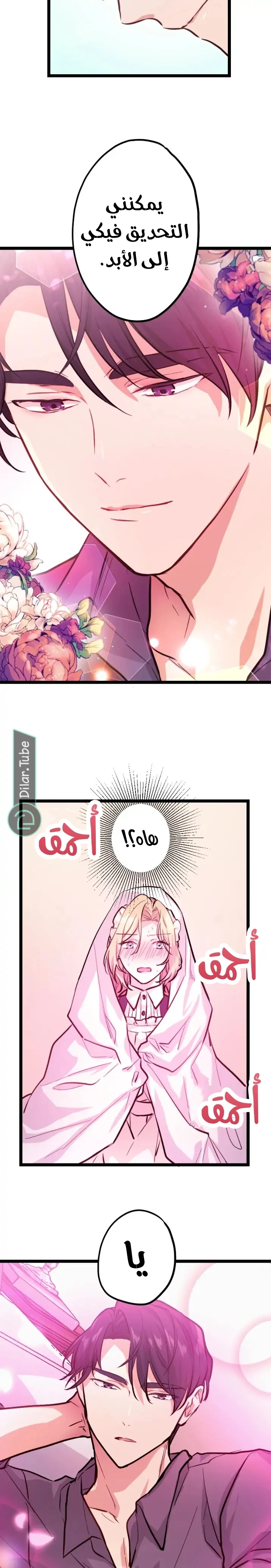 الصفحة 14