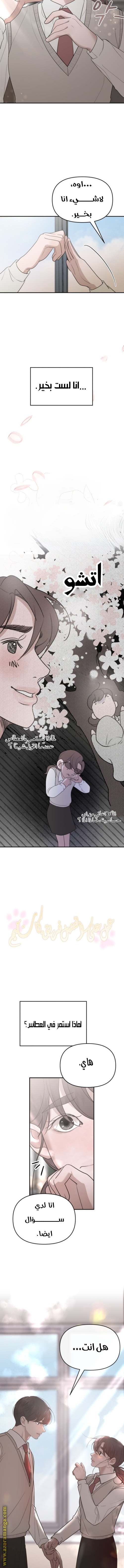 الصفحة 14