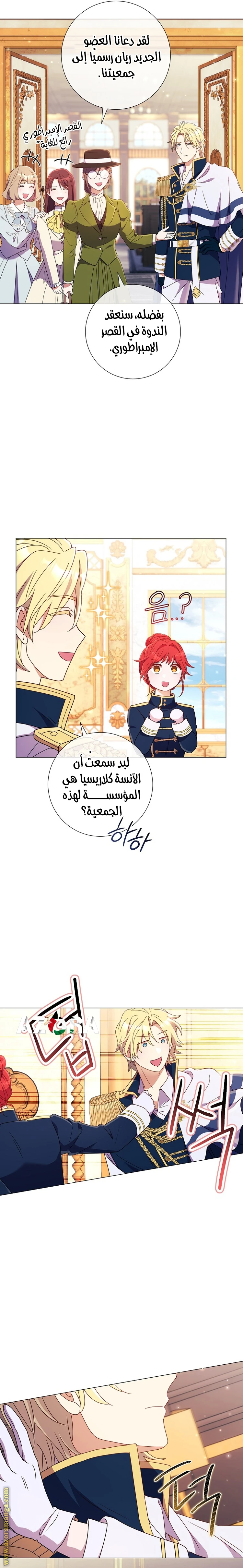 الصفحة 16