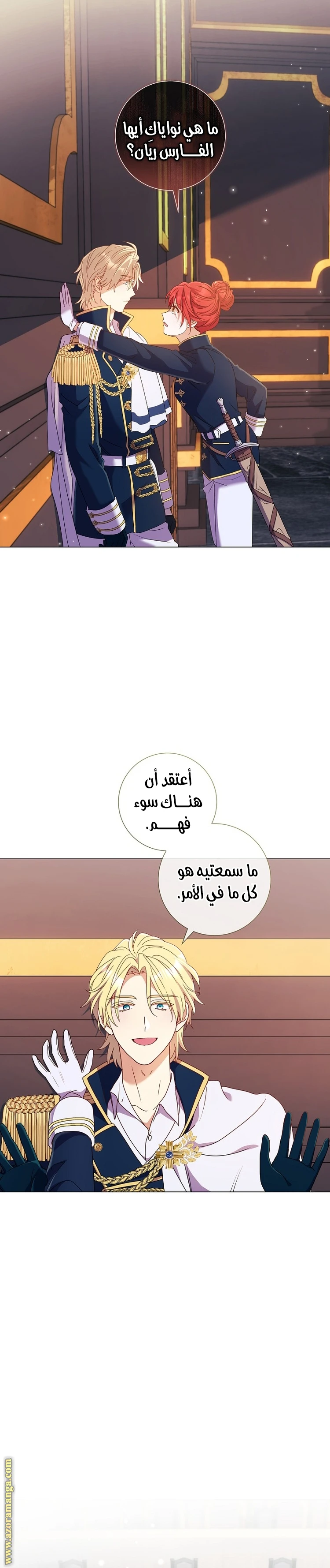 الصفحة 17