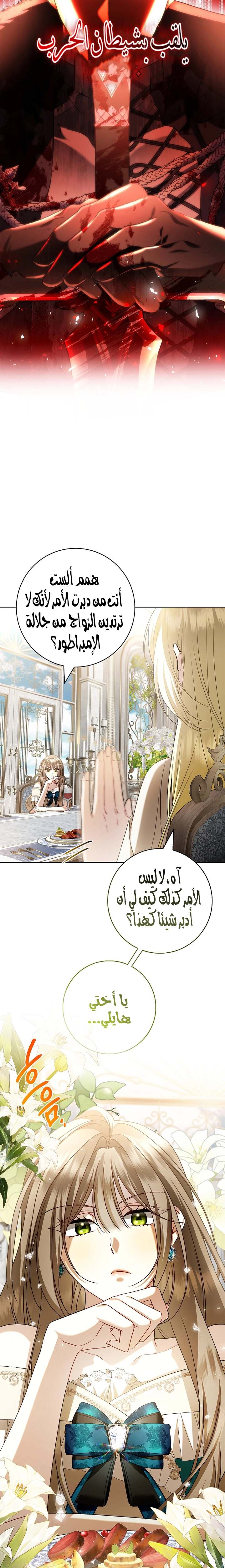 الصفحة 14