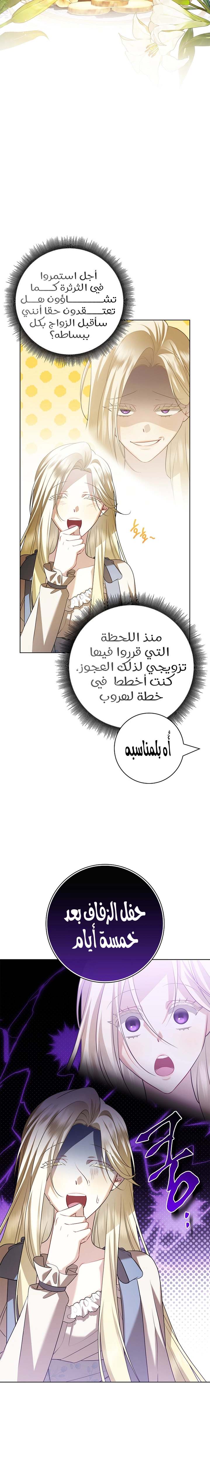 الصفحة 15
