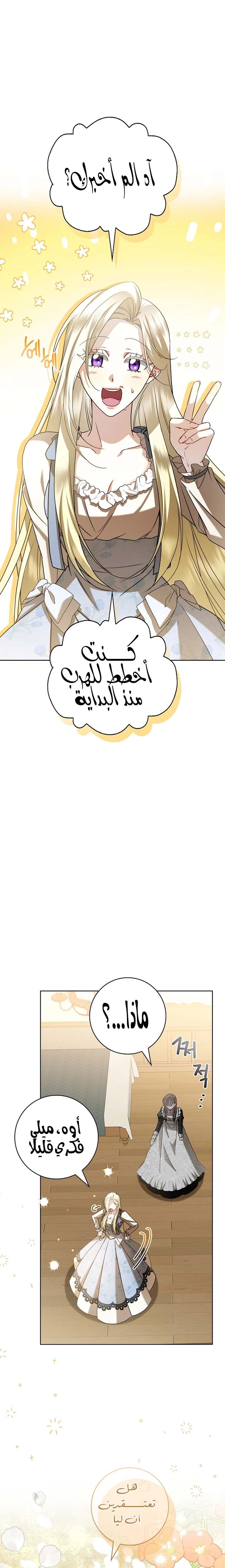 الصفحة 19