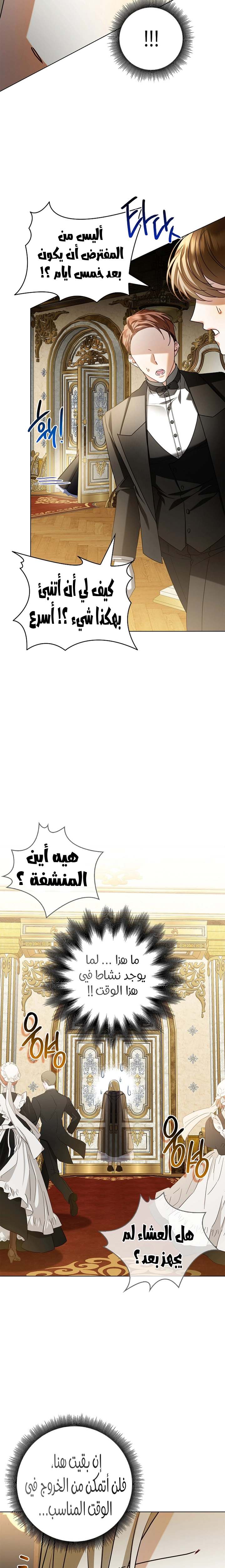 الصفحة 25