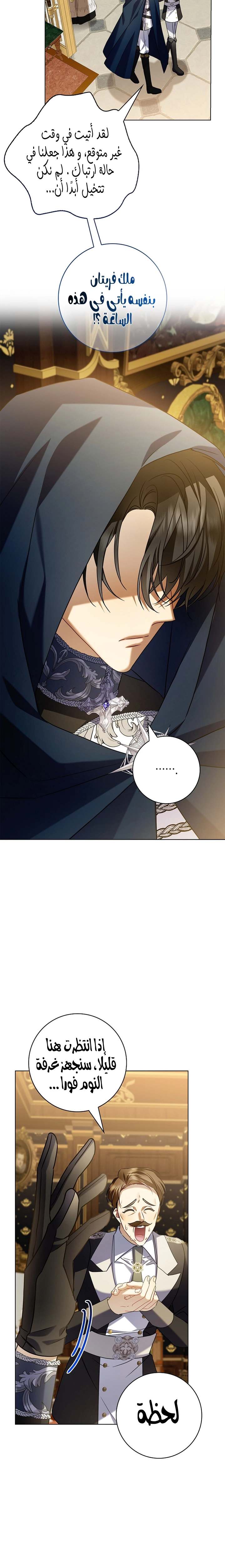 الصفحة 28
