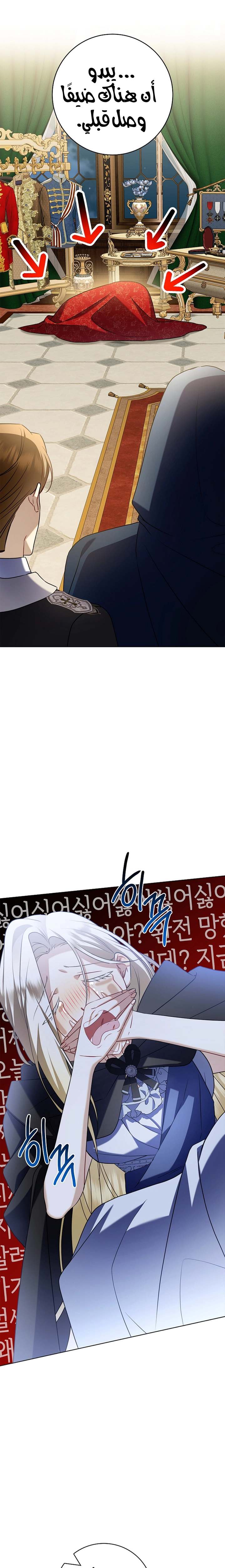 الصفحة 29