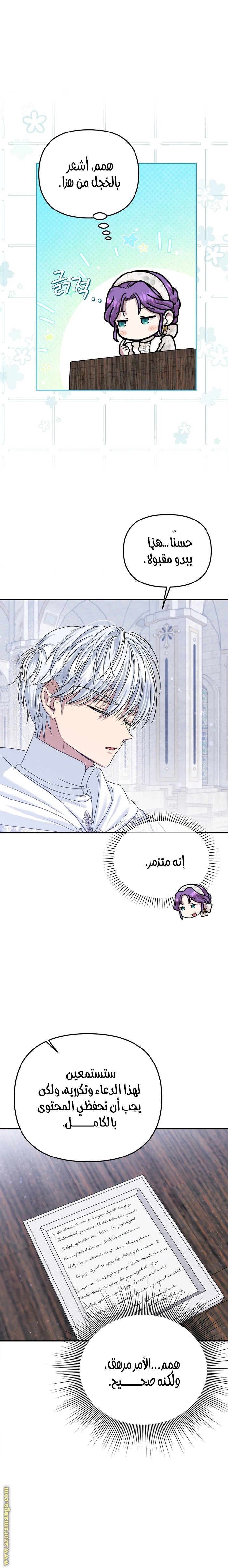 الصفحة 17