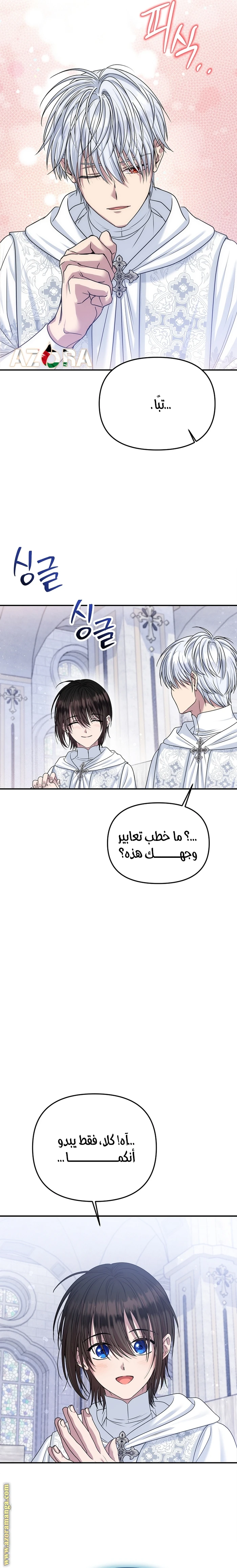 الصفحة 20