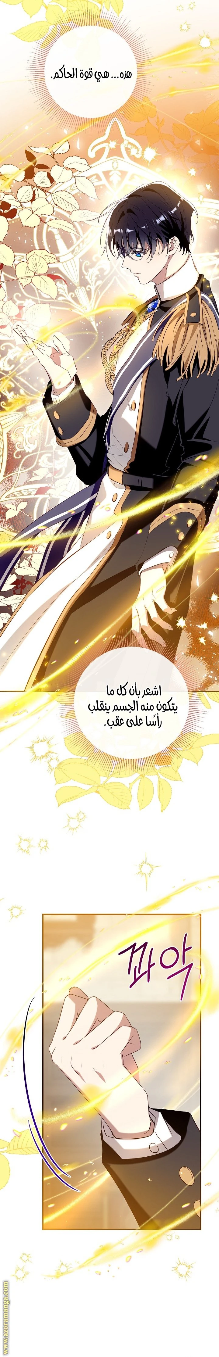 الصفحة 19