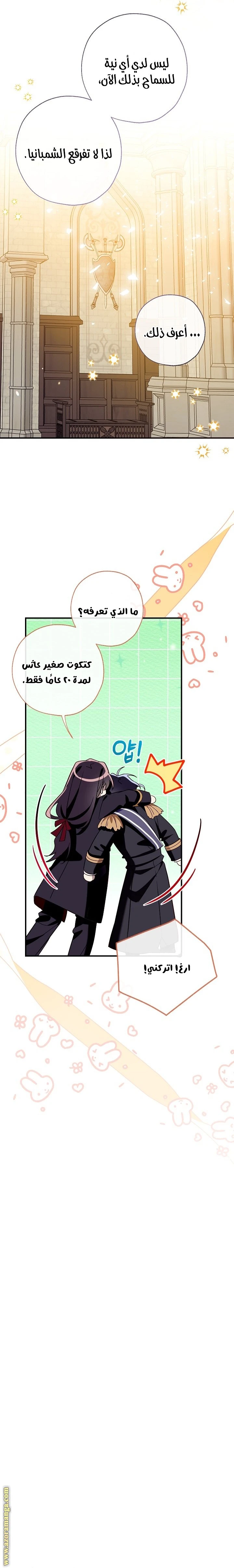 الصفحة 24