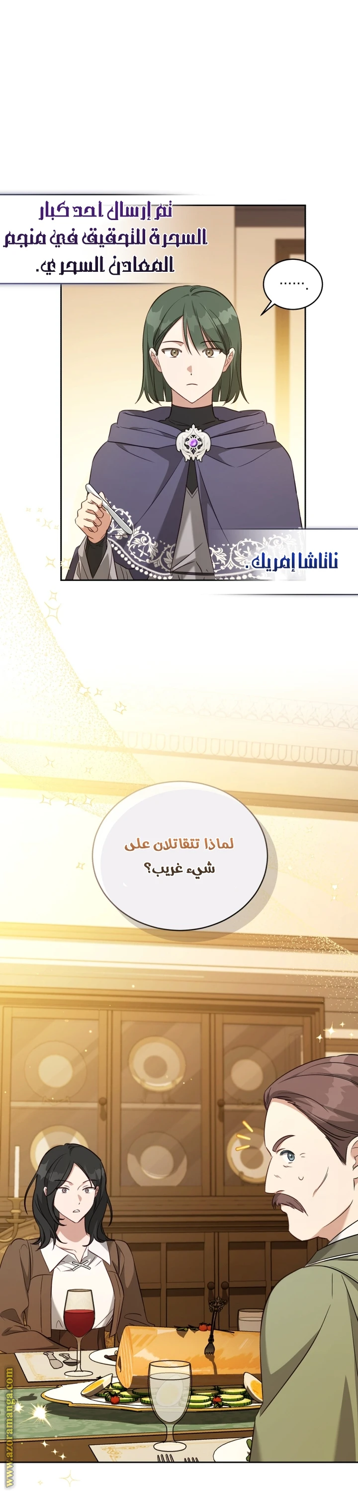 الصفحة 11