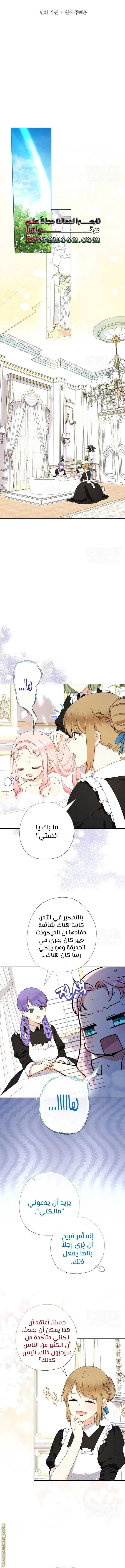 الصفحة 8