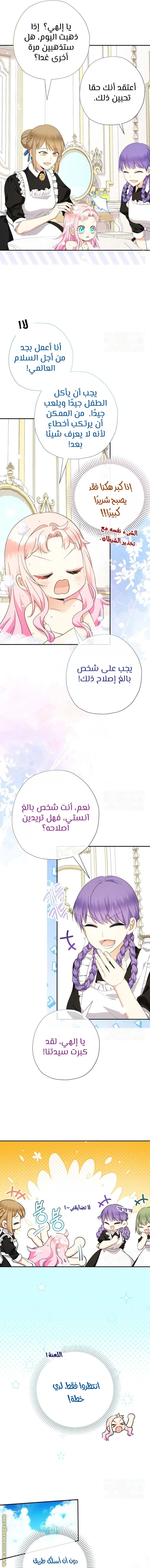 الصفحة 13