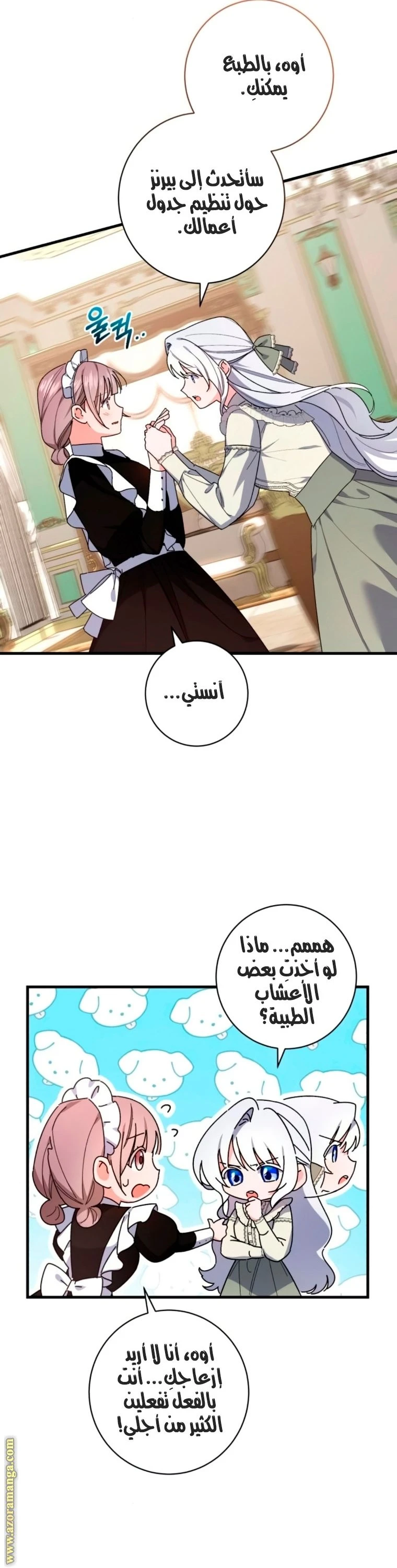 الصفحة 17