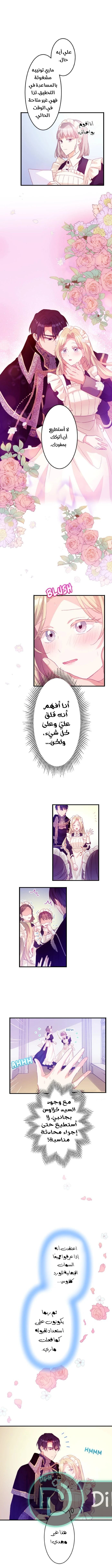 الصفحة 3