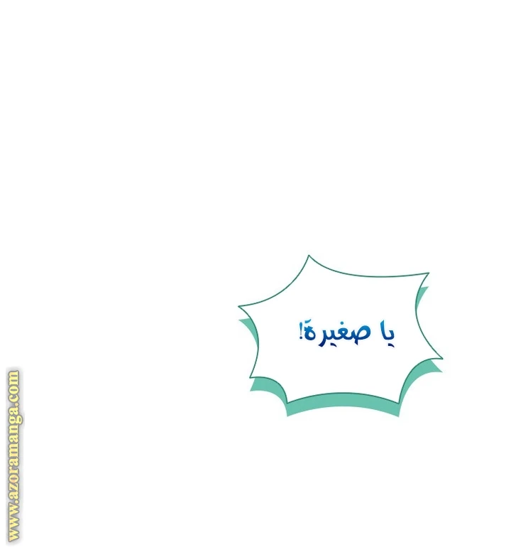 الصفحة 29