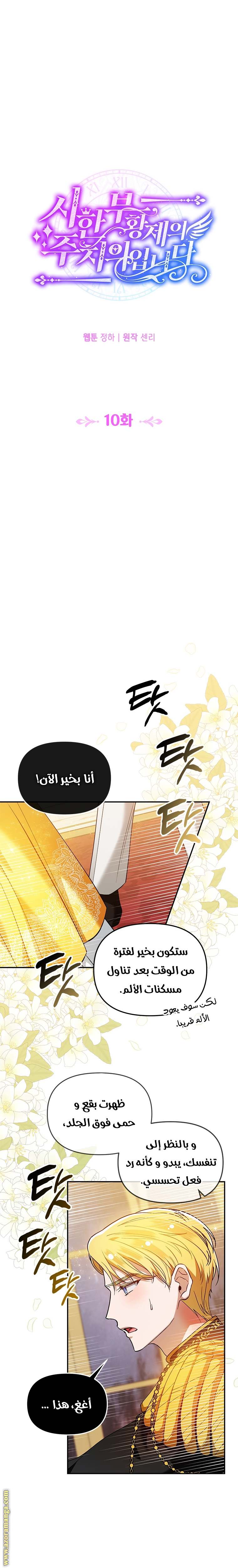 الصفحة 8